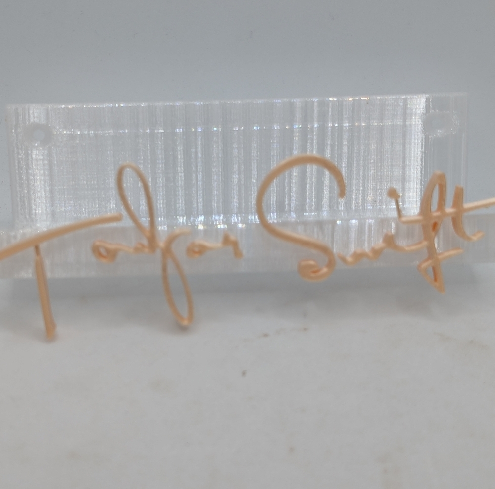 Taylor Swift Wall Bracket CDs Records Photos